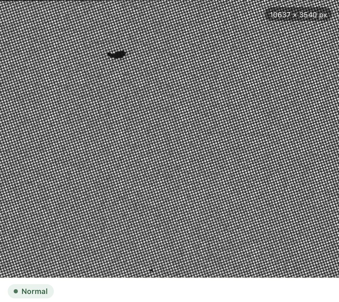 AI Validator result for the non-spatial model: dust inside the wafer area, verdict Normal